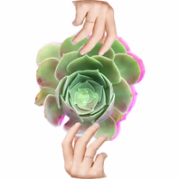 elisabethgraceart.com