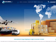eliteshippingdubai.com