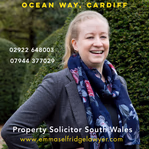 emmaselfridgelawyer.com