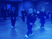 exclusivemartialarts.net