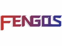 fengqs.com