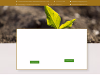 fitc-energy-group.com