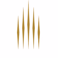 fivestaralliance.com