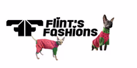 flintsfashions.com