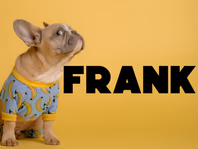 frankpetinsurance.co.uk