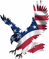 freedomdebtresolutions.com