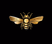 fundedhive.com
