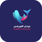 fxwhales.com