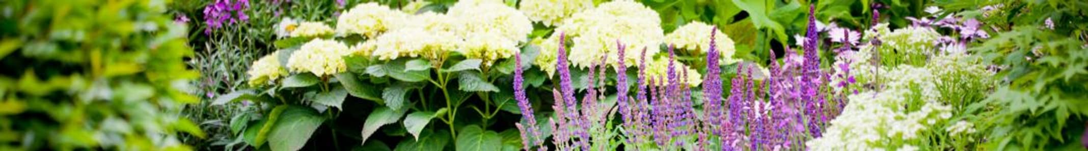 gardengoodsdirect.com