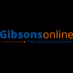 gibsonsonline.ie