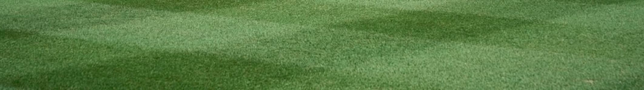 golfcourselawn.store