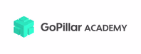 gopillaracademy.com