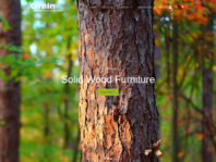 grainwoodfurniture.com