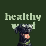 healthywoof.com