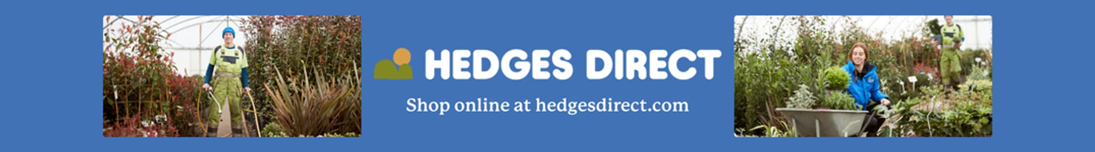 hedgesdirect.co.uk