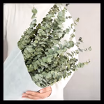 hiddenbotanicsweddings.com