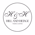 hillandhedge.com