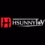 hsunnytoy.com