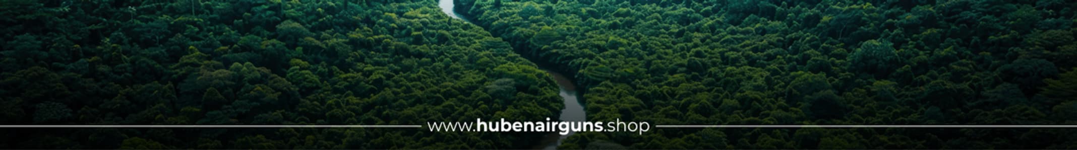 hubenairguns.shop
