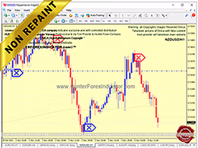 hunterforexindicator.com