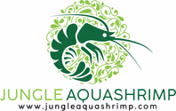 jungleaquashrimp.com