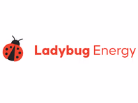 ladybugenergy.com