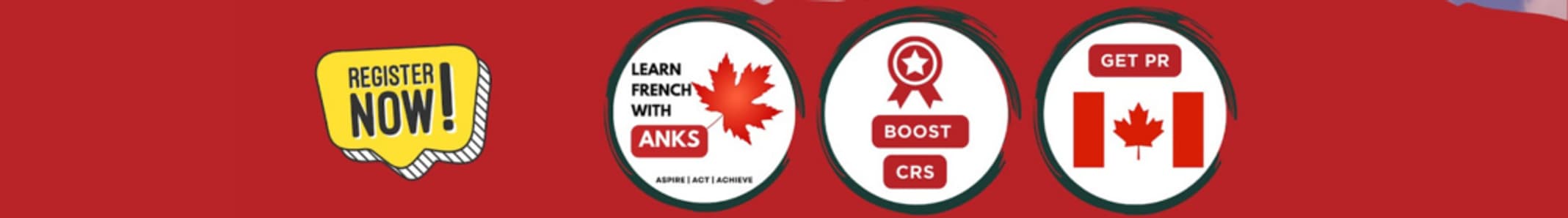 learnfrenchwithanks.com