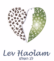 levhaolam.com