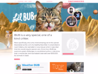 lilbub.com