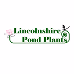 lincsplants.com