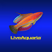 liveaquaria.com