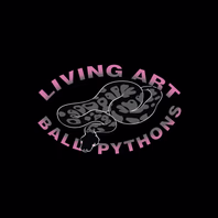 livingartballpythons.co.uk