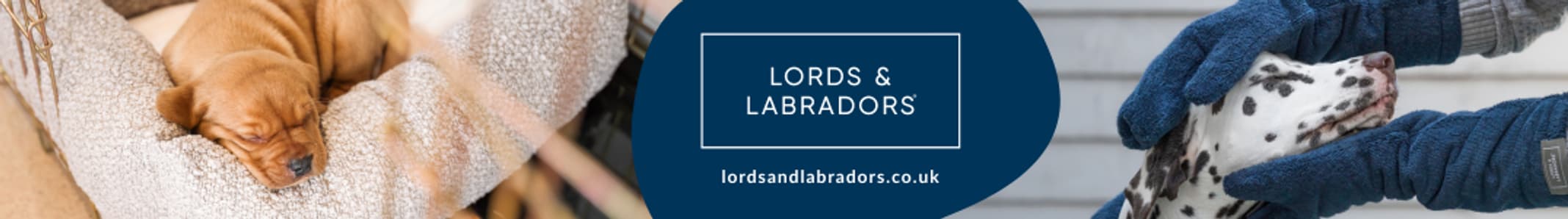 lordsandlabradors.co.uk