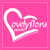 lovelyfloraworld.com