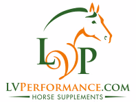 lvperformance.com