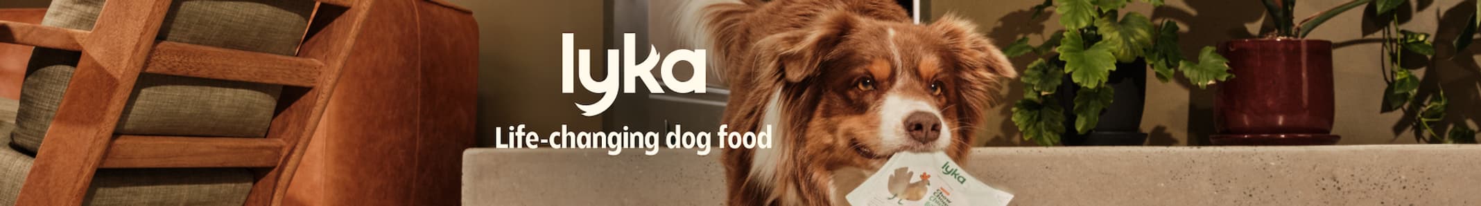 lyka.com.au