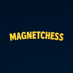 magnetchess.shop