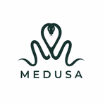 medusacase.com