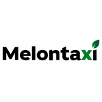 melontaxi.com