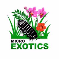 microexotics.co.uk