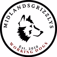 midlandsgrizzlys.com