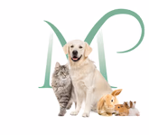 millenniumvets.co.uk