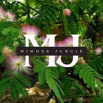 mimosajungle.com