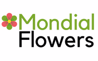 mondialflowers.com