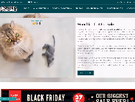 munchkincatbreed.com