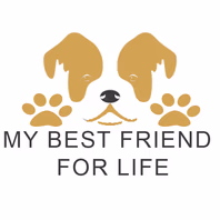 mybestfriendforlife.com