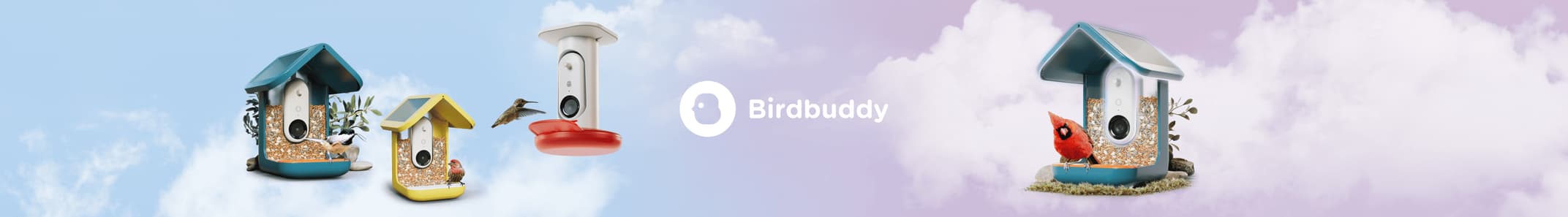 mybirdbuddy.com
