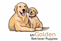 mygoldenretrieverpuppies.com