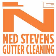 nedstevens.com