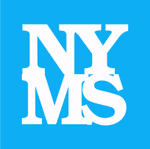 newyorkmoldspecialist.com